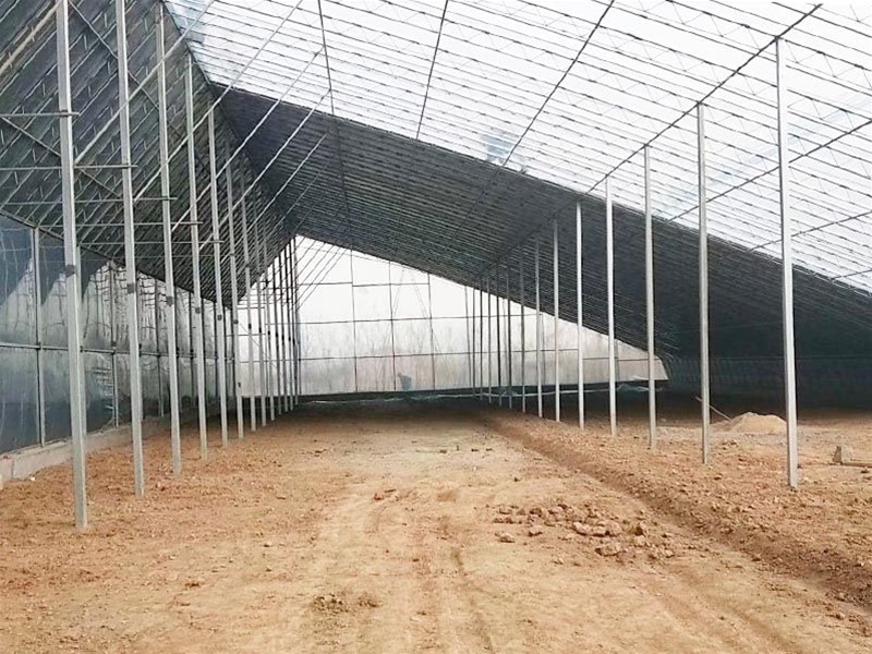 Winter greenhouse