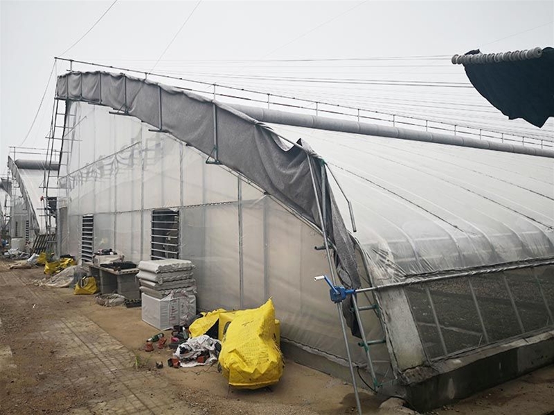 Winter greenhouse