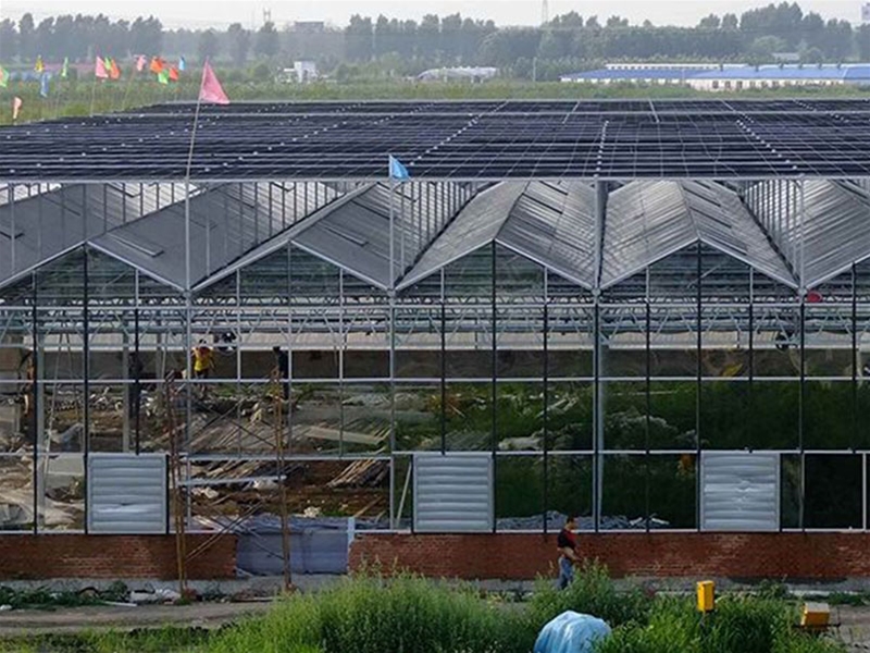 Polycarbonate sheet greenhouse