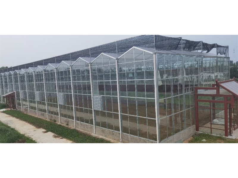 Glass Greenhouse