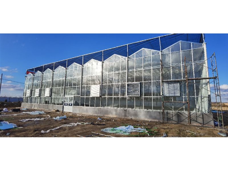 Glass Greenhouse