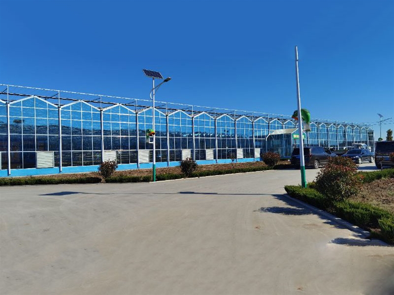 Glass Greenhouse