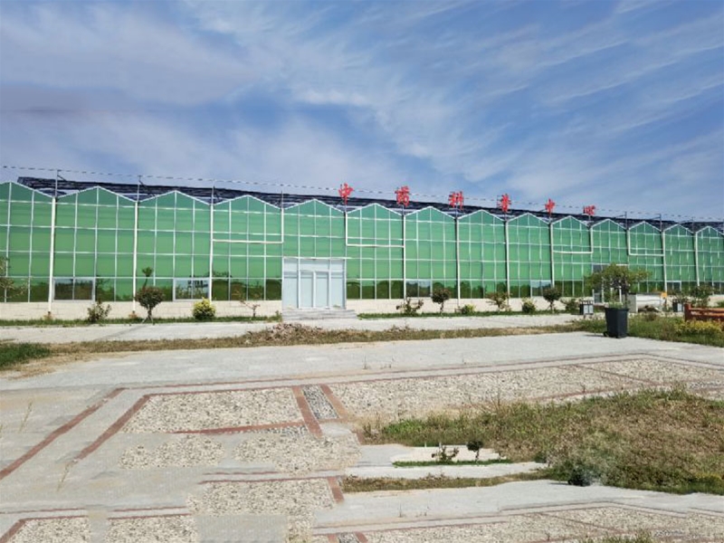Glass Greenhouse