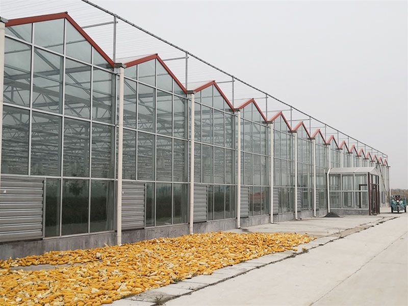 Glass Greenhous